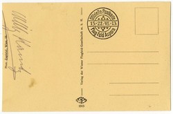 Vienna Flight Week 15.-22.6.1913.  Unused picture postcard "Carl ...