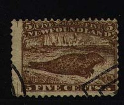 4545: Neufundland