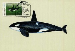 Beleg Portugal, , .  Motiv: Tiere,Meerestiere,allgemein.  Details und ...