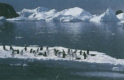 Ganzsache Australien Geb. in d. Antarktis, .  Motiv: Expeditionen ...