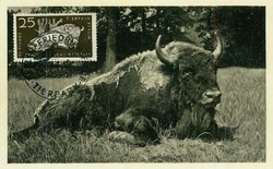 1380: German Democratic Republic - Maximum postcards