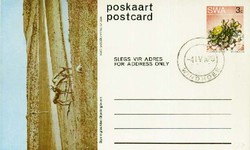 6120: South West Africa - Postal stationery