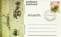 6120: South West Africa - Postal stationery