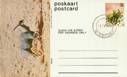 6120: South West Africa - Postal stationery