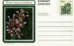 6120: South West Africa - Postal stationery