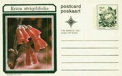 6120: South West Africa - Postal stationery