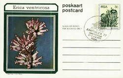 6120: South West Africa - Postal stationery