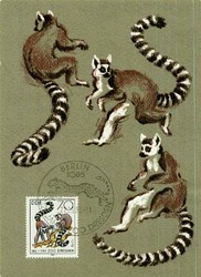 1380: German Democratic Republic - Maximum postcards
