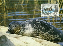 2530: Finnland - Maximumkarten