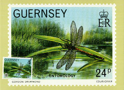 2935: Guernsey - Maximum postcards
