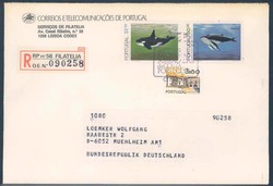 Beleg Polen Lokalausg. 2.WK Niezabitow, , Ersttagsbrief.  Motiv: ...