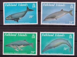 2480: Falkland Islands