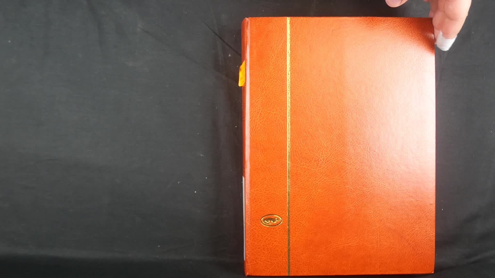 Belgien, Niederlande, Luxemburg. Schöner Bestand im 60 Seiten ...