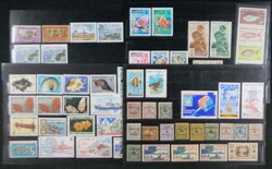 6695: ワリスフュチュナ - Collections