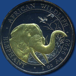 50.370: Africa - Somalia
