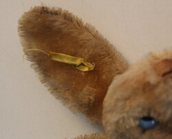 STEIFF-HASE "LULAC", antikes Exemplar, Knopf im Ohr, fest gestopft, ...