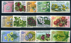 2480: Falkland Islands