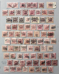 2 Gr lilarosa Studie mit 79 Exemplaren in versch. Farbnuancen  ...