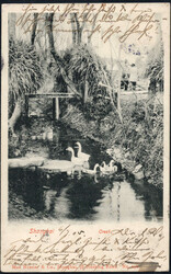 1905 wunderschöne Shanghai-AK m. dekorativer 7-Länder-Frankatur (u ...