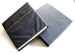 DREHSTABBINDERSET PERFECT in blau m. Schuber m. Goldprägung ...