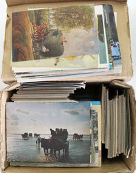 841030: Animals, Mammals, Horses