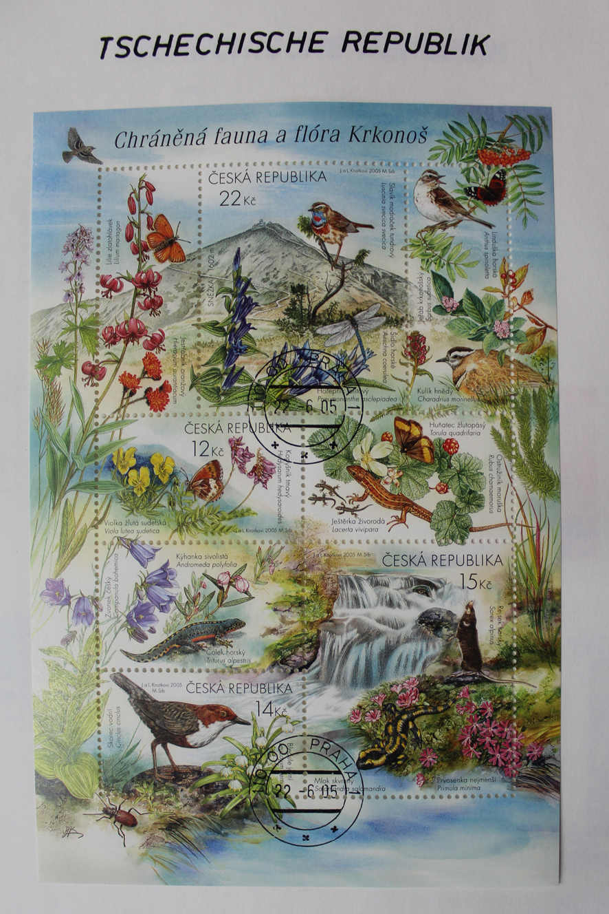 Image 5 for lot number 8358 for AAK Phila GmbH 87th Auction