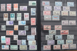 ALLE WELT-REGAL 185 großformatige Alben im Regal m. bunt gemixten ...