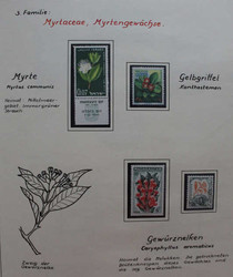 541510: Natur, Blumen, allgemein