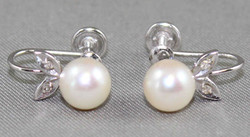 550.60: Schmuck, Ohrschmuck