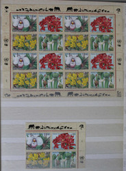 7590: 聯合國