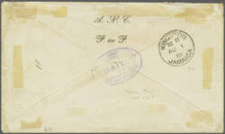 1881 (July 1): 5 c. yellow-green on greenish, plate I, imperforate, a ...