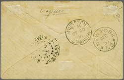 1881 (July 1): 5 c. yellow-green on greenish, plate I, imperforate, a ...