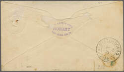 Overland via Naples 1891 (6 February): 1 d. red postal stationery ...