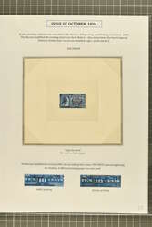 1894: 10 c. Blue Issue 1894: 10 c. blue, group of stamps and proofs, ...