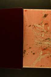 1986: Sweden, SWEDISH LETTER RATES TO FOREIGN DESTINATIONS 1855-95, ...