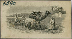 1925c.: De La Rue unadopted engraved Essay in black, possibly ...