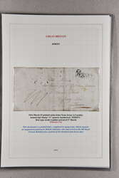 3760: Jersey - Einheit mit Plattennummer