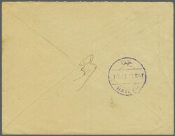 Vilayet of Syria - Bekaa 1905: Turkey Postage Due 2 pi. black on red, ...