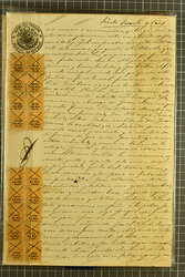 Lots &amp; Collections, Revenues 1866/1951: Advanced exhibition ...