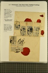 1909: The Exhibit collection with a delightful range of the original ...