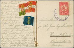 Sandjak Diraç 1909: Turkey 20 pa. rose, used on 1911 patriotic ...