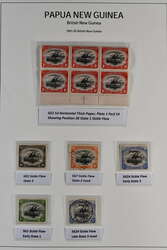 1901/07: Study of the “Sickle Flaw” Plate 1, Position 28, ...