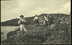 "26" Höfn in superb strike on picture postcard, dated "22/6 12", one ...