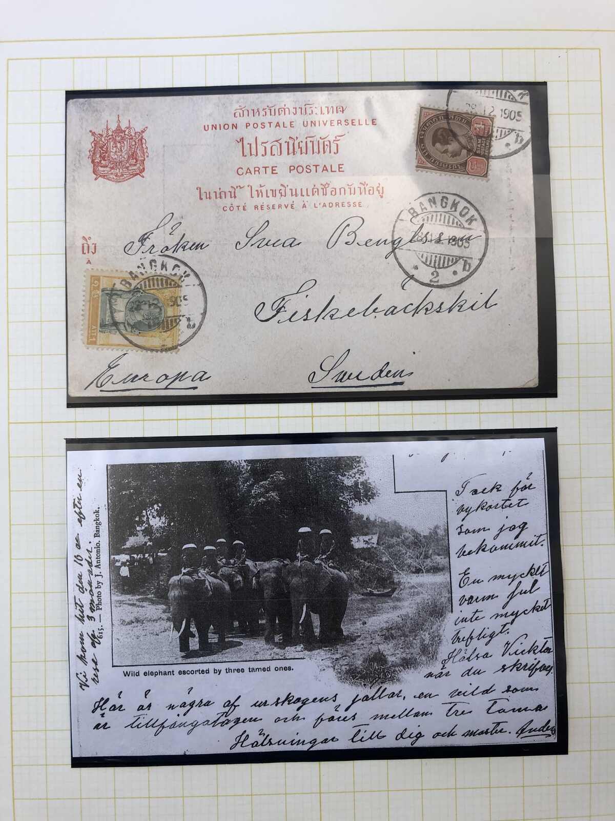 Image 6 for lot number 483 for Postiljonen 246. Int. Briefmarken Auktion