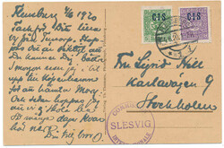 330: Plebiscit Slesvig 1920 - Official stamps