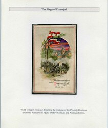 4945: Poland - Collections