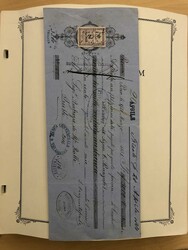 7195: Collections and Lots Austrian Areas - Collections