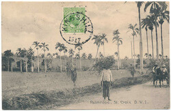 Picture postcard sent locally on St. Croix franked with 5 bit green ...