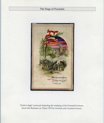 4945: Poland - Collections