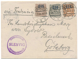 330: Plebiscit Slesvig 1920